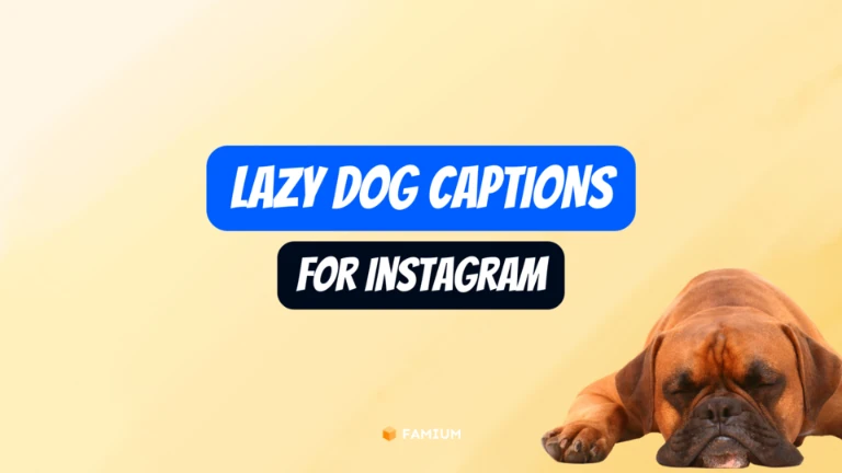 Lazy Dog Instagram Caption Ideas
